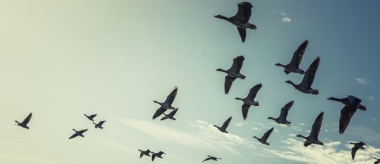 Get your retirement savings out of SA now