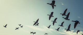 Get your retirement savings out of SA now